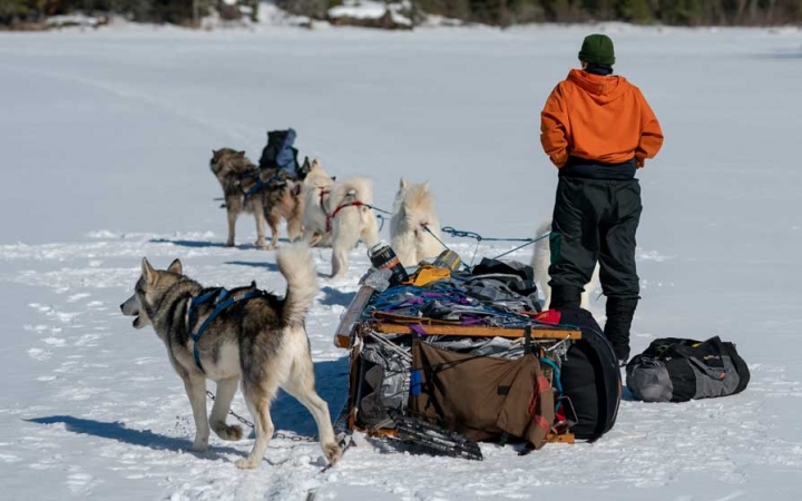 a team of dogs and a musher stand near a tipped over sled while taking a break on a snowy landscape
